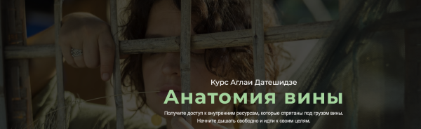 Анатомия вины (5 занятий) (Аглая Датешидзе)