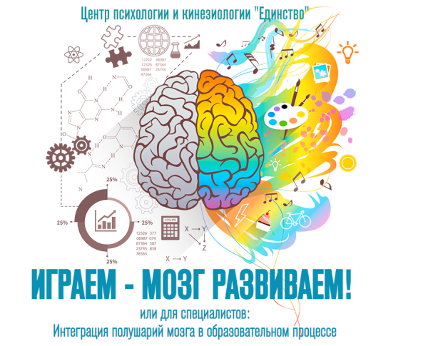 Играем - мозг развиваем (Елена Шадрина)