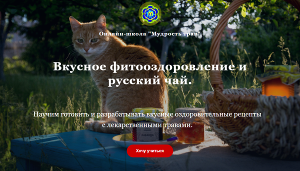 [Мудрость трав] Вкусное фитооздоровление и русский чай.Тариф Экстра(Наталия Самотой, Юрий Курский)