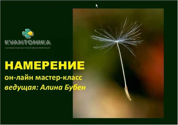 Намерение (Алина Бубен)