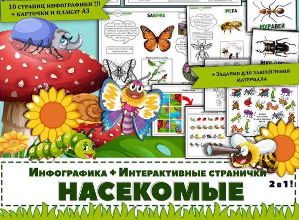 Насекомые. Интересные интерактивные странички про насекомых и карточки (Елена Солдатова)