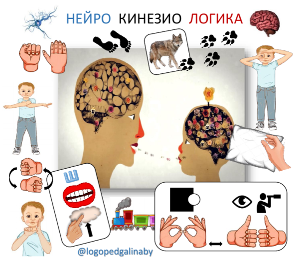 Нейро Кинезио Логика (logopedgalinaby)