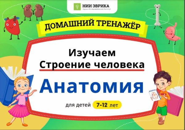 [НИИ Эврика] Домашний Тренажер Изучаем Строение Человека. Анатомия для детей 7-12 лет