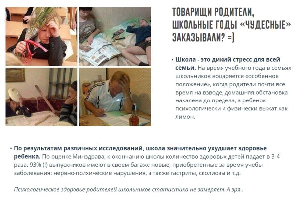 Система комплексного обучения на дому для школьников. Пакет На семейном обучении (Ксения Несютина)